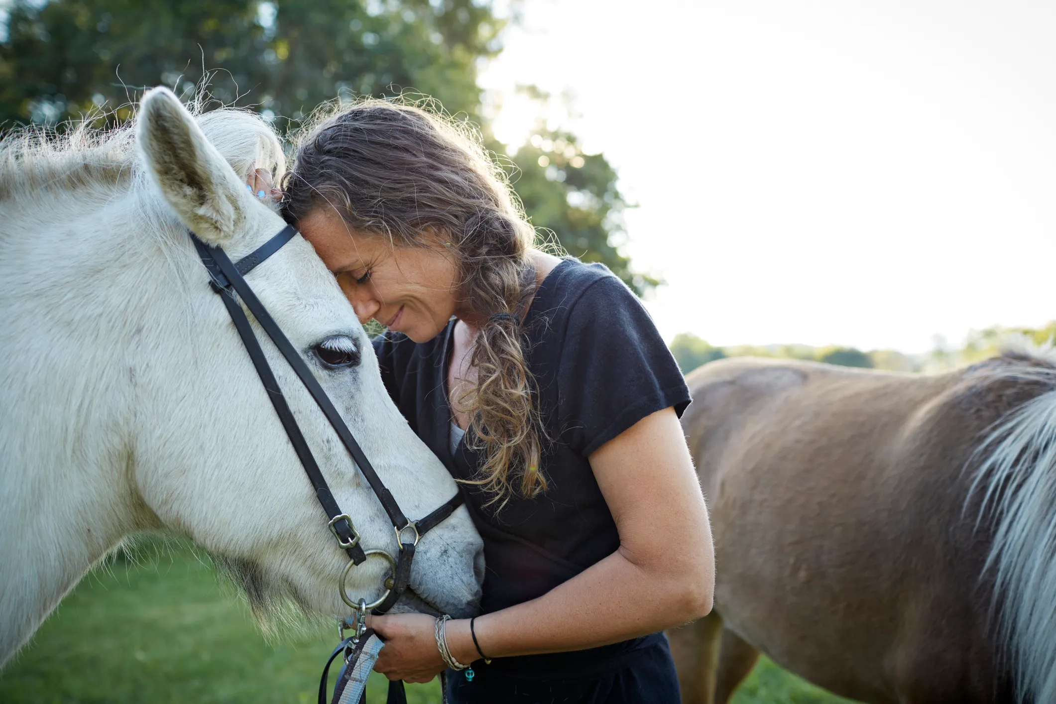 woman hugging a white horse